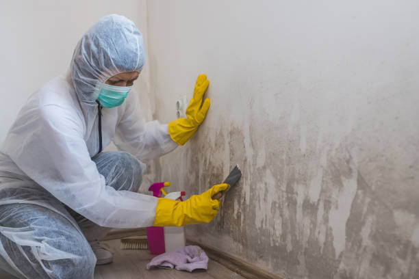 Best Local Mold Removal Service  in Marvin, NC