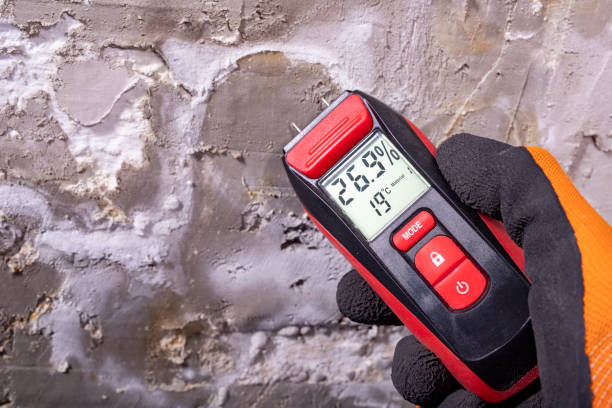 Best Crawl Space Mold Removal  in Marvin, NC