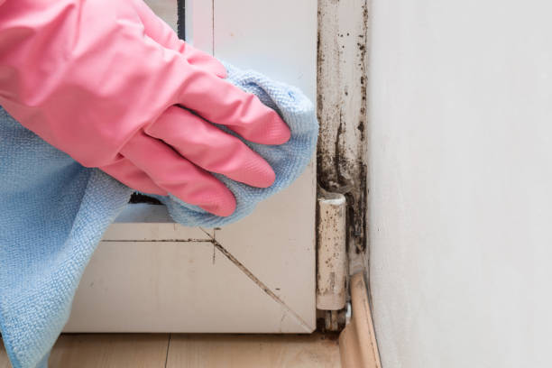 Best Mold Cleaning Services  in Marvin, NC
